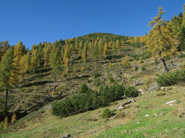 Weg 229 zwischen Radniger Sattel und Golz