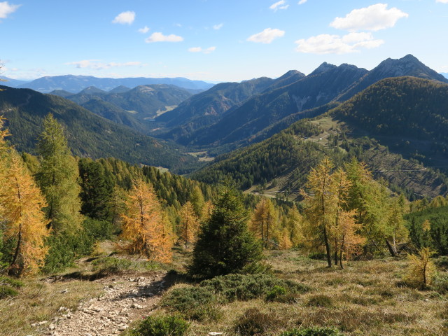Weg 229 zwischen Radniger Sattel und Golz