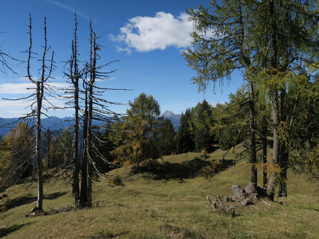 bei den Sattelköpfen