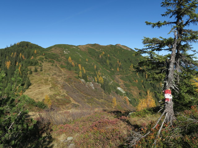 Salzburger Almenweg zwischen Lackenkogel und Hinterkogel (14. Okt.)