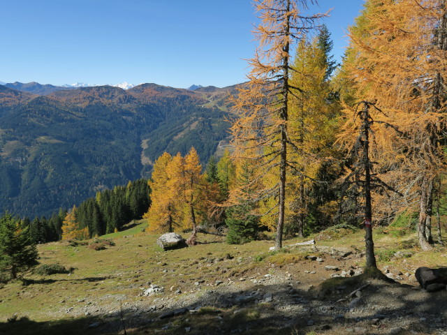 Salzburger Almenweg zwischen Lackenkogel und Hinterkogel (14. Okt.)