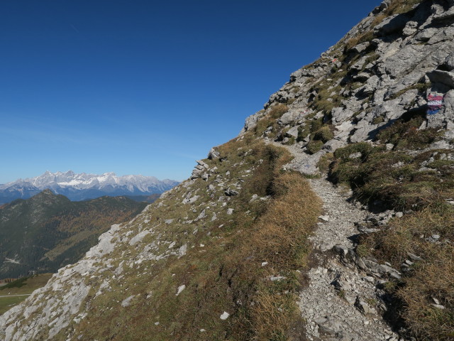 Weg 73 zwischen Tagweidegg und Schwarzkopf (14. Okt.)