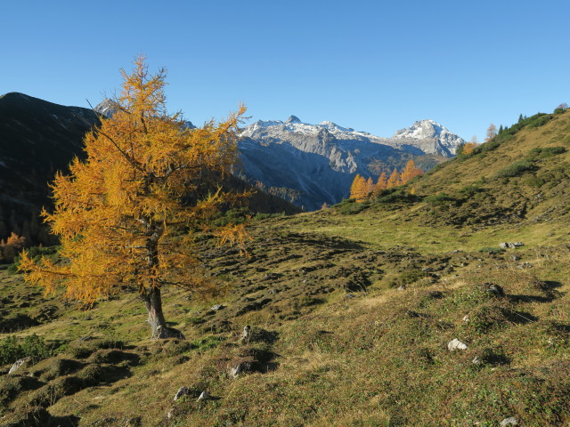Weg 26 zwischen Hafeichtscharte und Bärenstaffl (15. Okt.)
