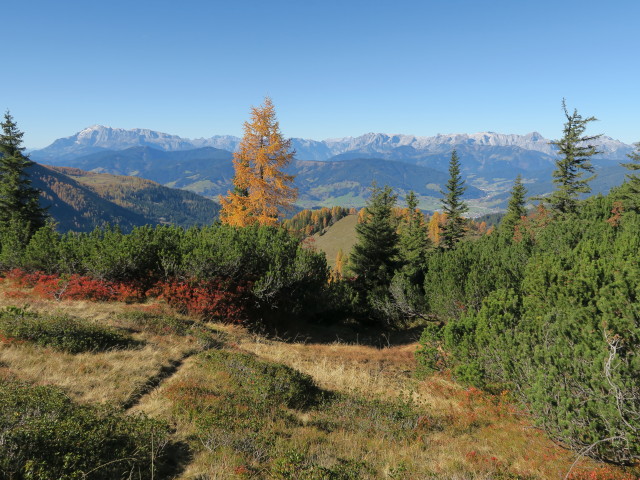 Weg 73 zwischen Hinterem Labeneck und Eisenhofalm (15. Okt.)