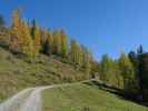 Weg 73 zwischen Labeneckalm und Wolfgrubenhütte (15. Okt.)