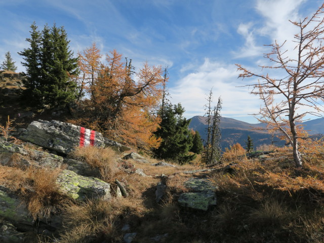 Weg 173 zwischen Gridleck und Feldhöhe