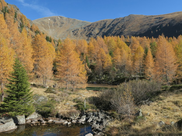 neben Weg 13 zwischen Gosorn und Thomelehütte