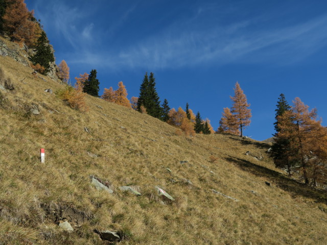 Weg 13 zwischen Gosorn und Thomelehütte