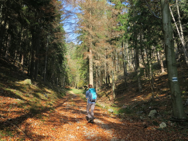 Sabine im Wegscheidgraben