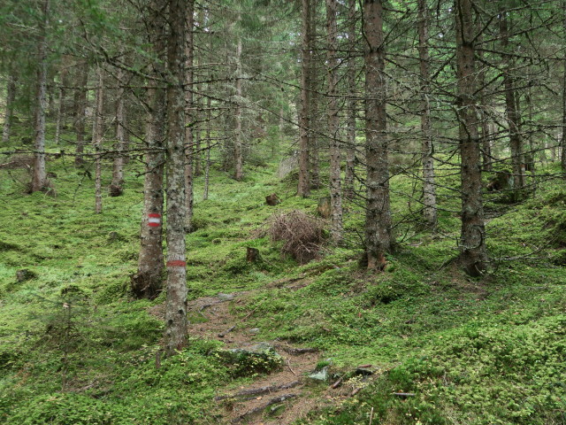 Weg 935 zwischen Mong und Platte