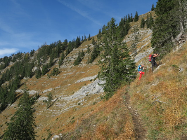 Weg 423 zwischen Hiaslalm und Eibenbergschneid