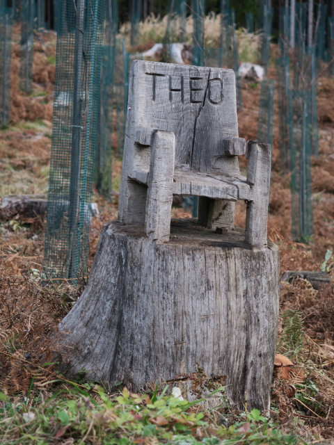 neben Weg 16 zwischen Wertschach und Oberhecher