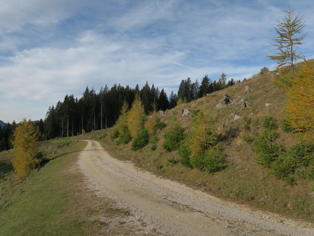 Weg 288 zwischen Oberhecher und Wertschacher Alm