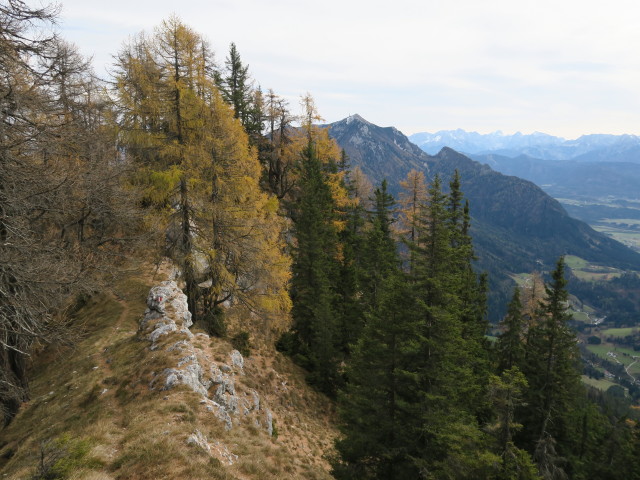 Weg 288 zwischen Kobesnock und Kaltem Loch