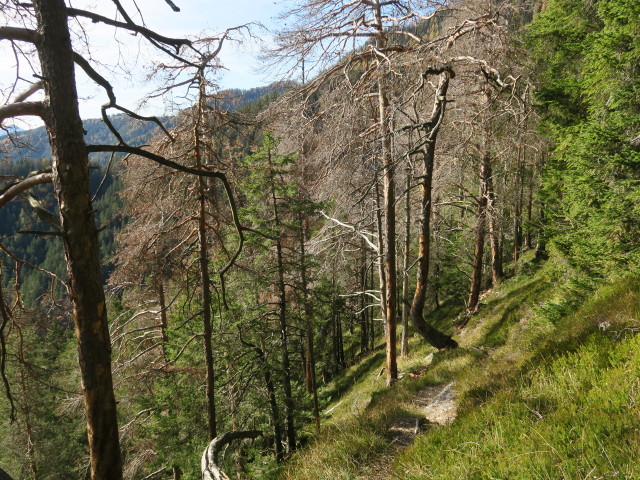 Weg 12 zwischen Zeber und Thomasstollen