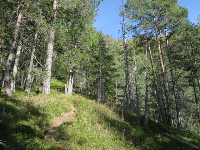 Weg 12 zwischen Zeber und Thomasstollen