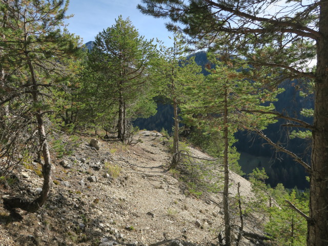 Weg 12 zwischen Thomasstollen und Bleiberg-Kreuth