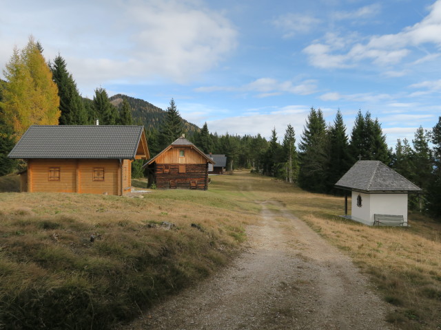 Köstendorfer Alm, 1.464 m