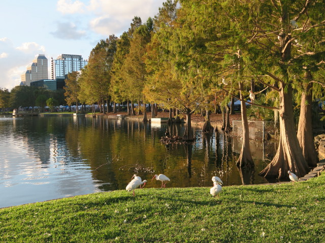 Lake Eola Park in Orlando (5. Nov.)