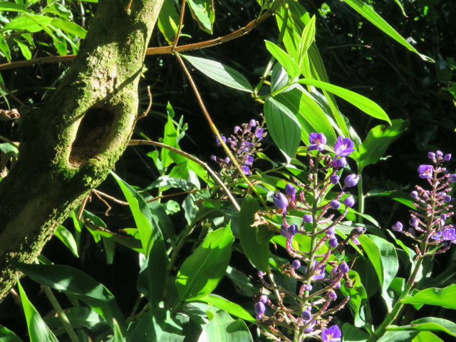 Sunken Gardens in St. Petersburg (11. Nov.)