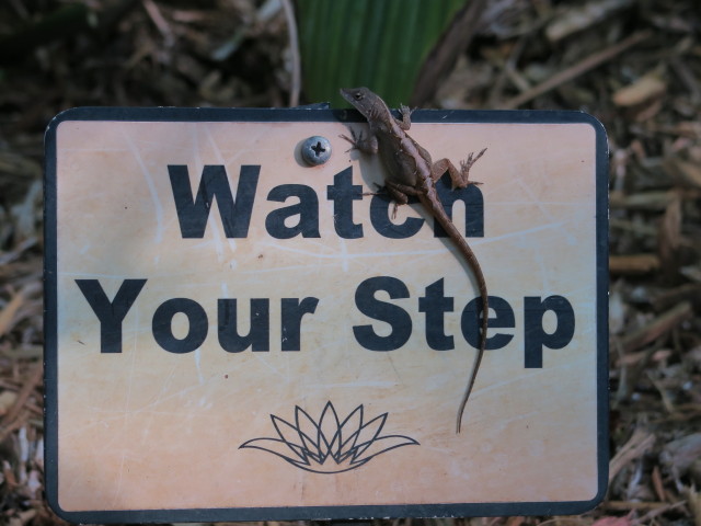 Sunken Gardens in St. Petersburg (11. Nov.)
