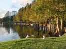 Lake Eola Park in Orlando (5. Nov.)