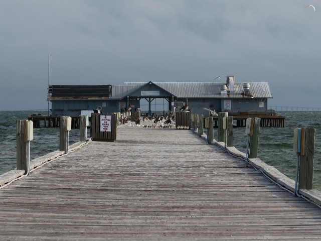 Anna Maria City Pier (12. Nov.)