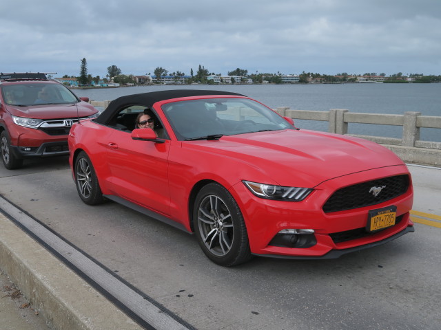 Sabine auf der Cortez Bridge zwischen Bradenton Beach und Cortez (12. Nov.)