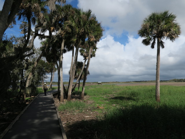 Sabine am Bird Walk im Myakka River State Park (12. Nov.)
