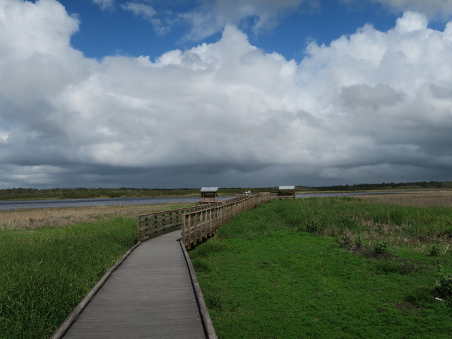 Bird Walk im Myakka River State Park (12. Nov.)