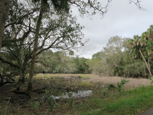 Myakka River State Park (12. Nov.)