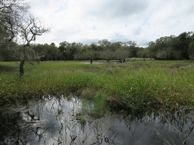 Myakka River State Park (12. Nov.)