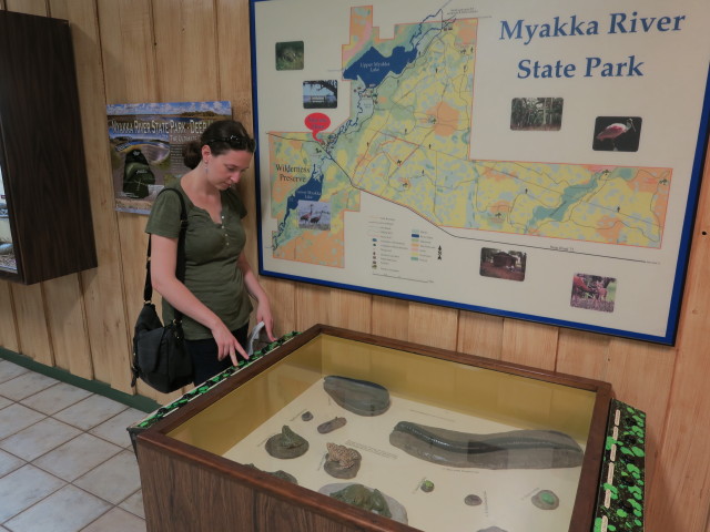 Sabine im Myakka River State Park Visitor Center (12. Nov.)