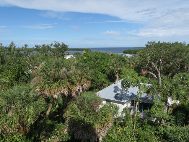 Cabbage Key (13. Nov.)