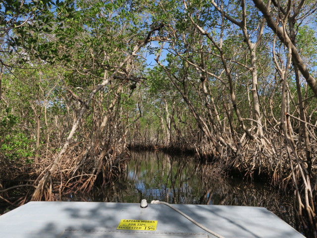 Barron River (14. Nov.)