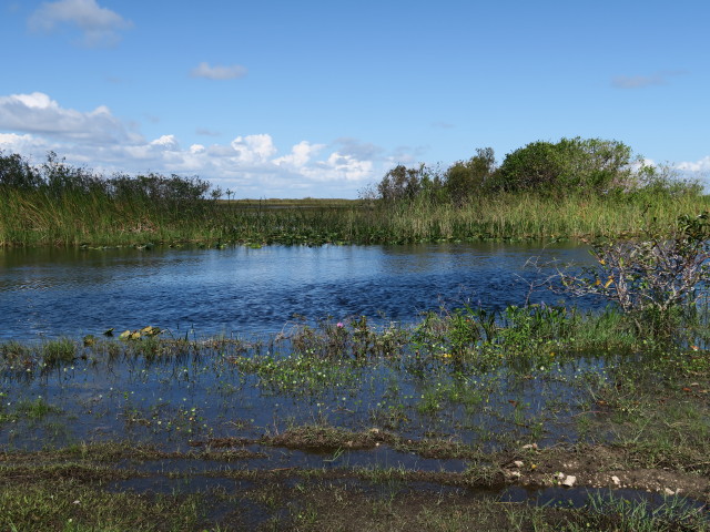 beim Miccosukee Information Center (14. Nov.)