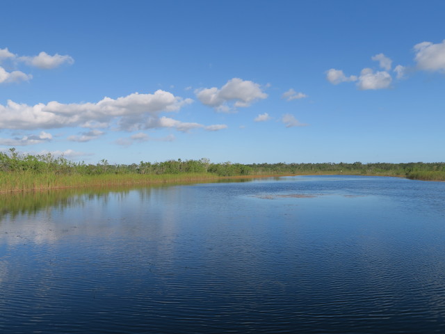 beim Ernest F. Coe Visitor Center im Everglades National Park (14. Nov.)