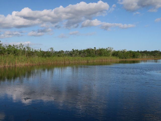 beim Ernest F. Coe Visitor Center im Everglades National Park (14. Nov.)
