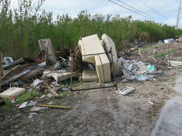 neben dem Overseas Highway am Sugerloaf Key (16. Nov.)