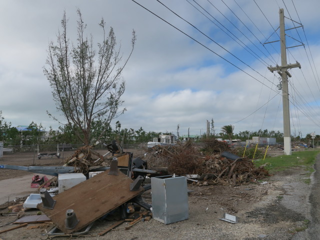neben dem Overseas Highway am Sugerloaf Key(16. Nov.)