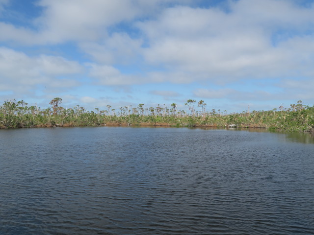 Blue Hole im National Key Deer Refuge (16. Nov.)