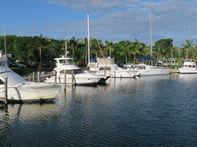 Key Largo Harbor (16. Nov.)