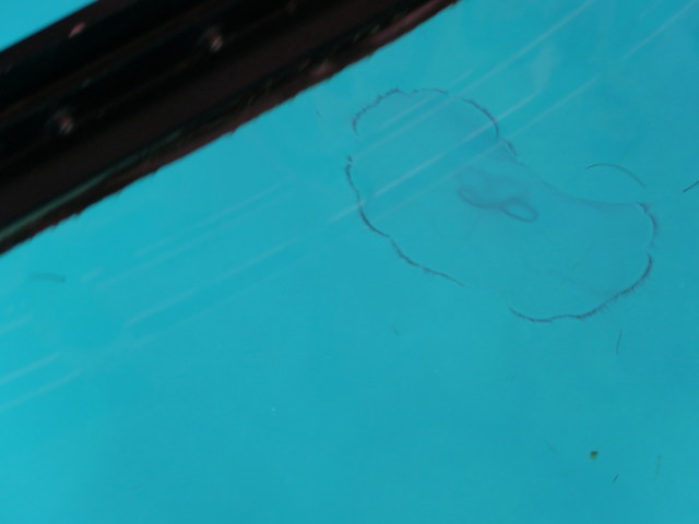 Molasses Reef (16. Nov.)