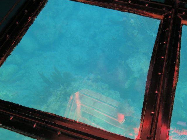 Molasses Reef (16. Nov.)