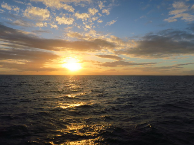 zwischen Molasses Reef und Key Largo Harbor (16. Nov.)