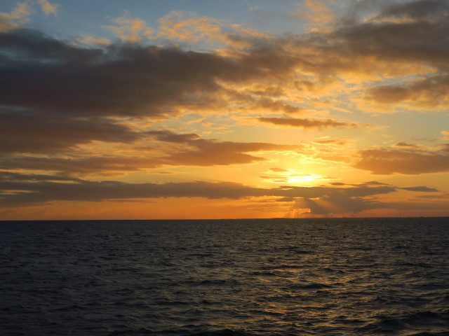 zwischen Molasses Reef und Key Largo Harbor (16. Nov.)