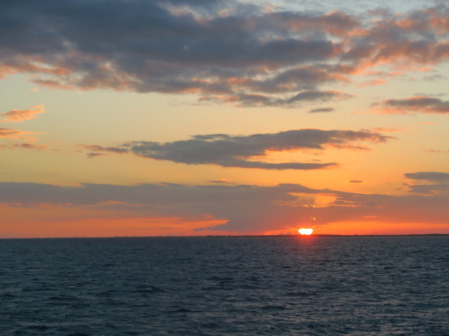 zwischen Molasses Reef und Key Largo Harbor (16. Nov.)
