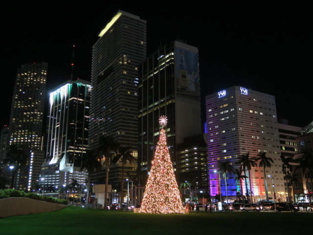 Downtown Miami (17. Nov.)