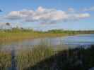 beim Ernest F. Coe Visitor Center im Everglades National Park (14. Nov.)