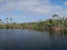 Blue Hole im National Key Deer Refuge (16. Nov.)